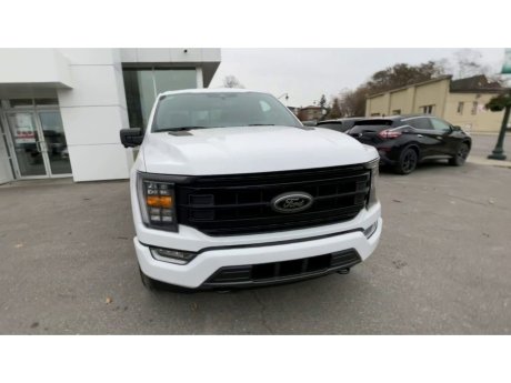 2023 Ford F-150 - 21543 Image 3