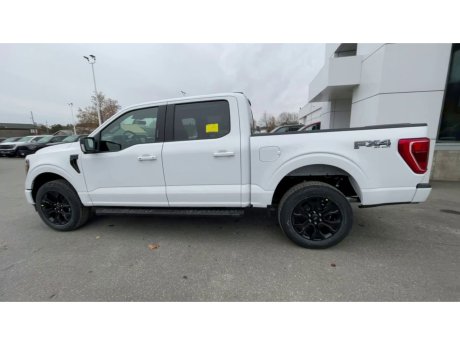 2023 Ford F-150 - 21543 Image 6