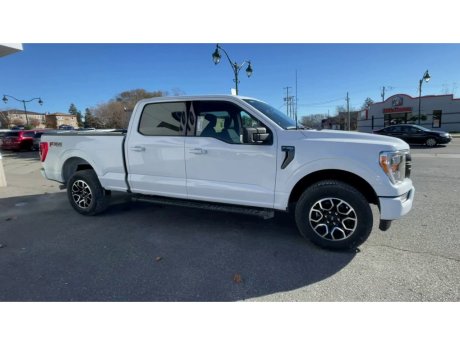 2023 Ford F-150 - 21533 Image 2