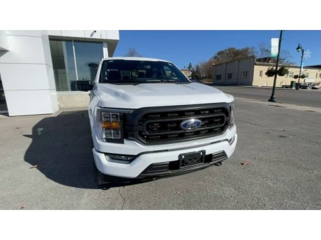 2023 Ford F-150 - 21533 Image 3