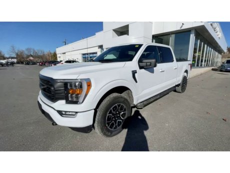 2023 Ford F-150 - 21533 Image 4