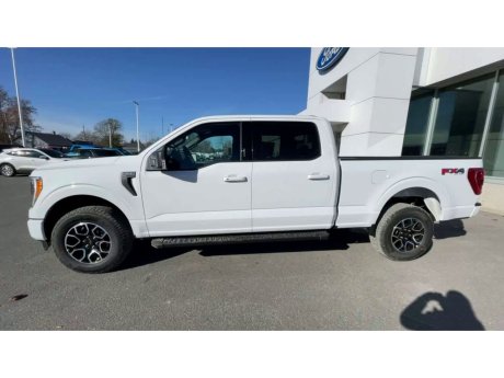 2023 Ford F-150 - 21533 Image 5