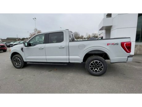 2023 Ford F-150 - 21532 Image 6