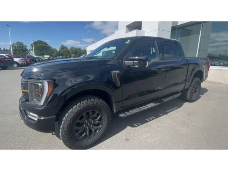 2023 Ford F-150 - 21347 Image 4