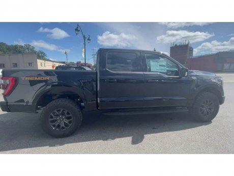 2023 Ford F-150 - 21347 Image 9