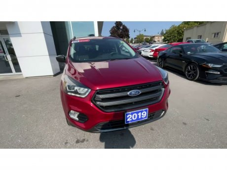 2019 Ford Escape - 21309A Image 3
