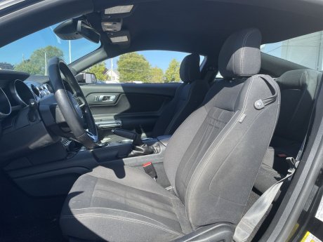 2019 Ford Mustang - P21400 Image 11