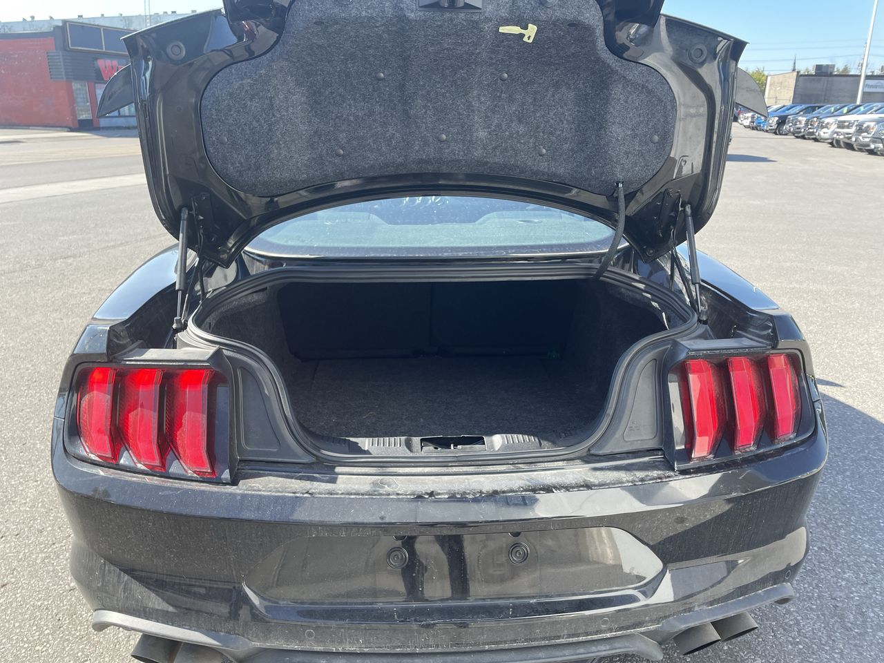 2019 Ford Mustang - P21400 Full Image 22
