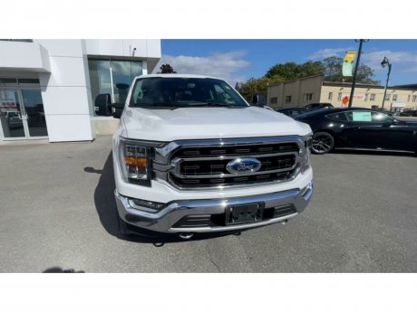 2021 Ford F-150 - 21364A Image 3