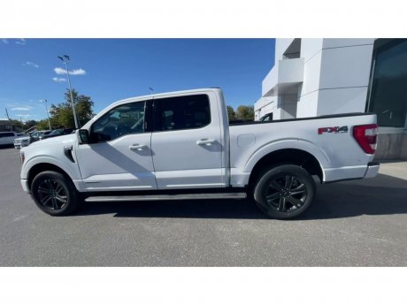 2023 Ford F-150 - 21466 Image 6