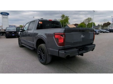 2024 Ford F-150 - 21643 Image 7
