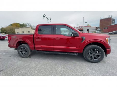 2023 Ford F-150 - 21460 Image 2