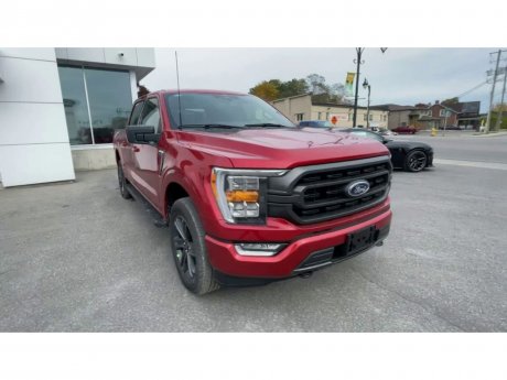 2023 Ford F-150 - 21460 Image 3