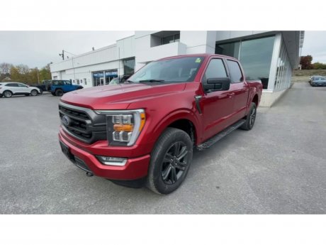 2023 Ford F-150 - 21460 Image 4