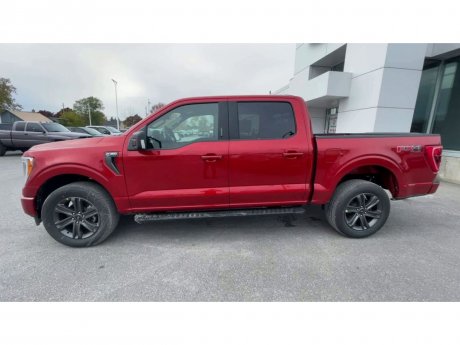 2023 Ford F-150 - 21460 Image 5