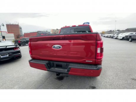 2023 Ford F-150 - 21460 Image 8