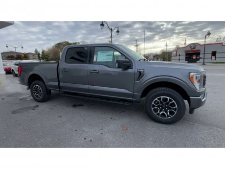 2023 Ford F-150 - 21467 Image 2