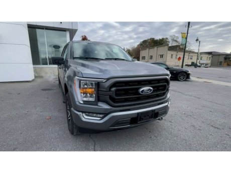 2023 Ford F-150 - 21467 Image 3