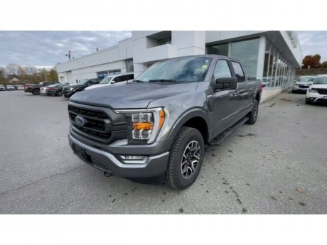 2023 Ford F-150 - 21467 Image 4