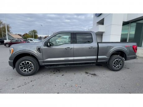 2023 Ford F-150 - 21467 Image 5