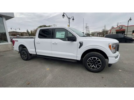 2023 Ford F-150 - 21523 Image 2