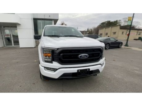 2023 Ford F-150 - 21523 Image 3
