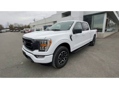 2023 Ford F-150 - 21523 Image 4