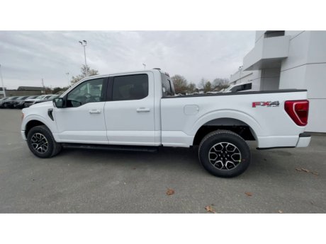 2023 Ford F-150 - 21523 Image 6
