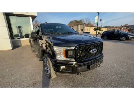 2020 Ford F-150 - 21381A Image 3