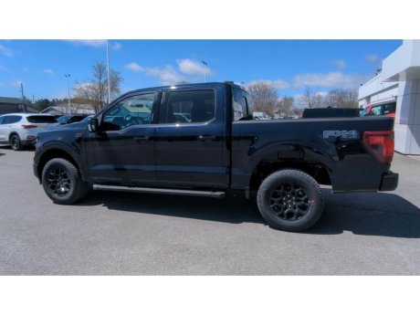 2024 Ford F-150 - 21729 Image 6