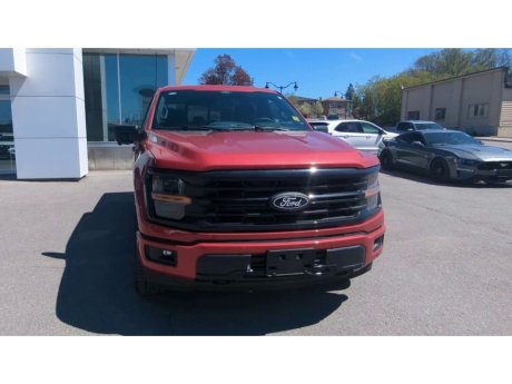 2024 Ford F-150 - 21667 Image 3