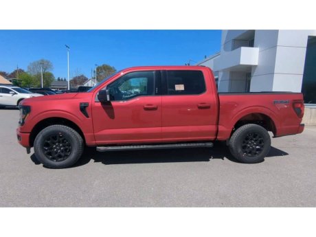 2024 Ford F-150 - 21667 Image 5