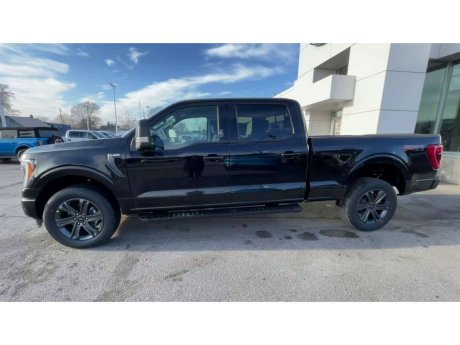 2023 Ford F-150 - 21500 Image 5