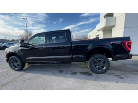 2023 Ford F-150 - 21500 Image 6