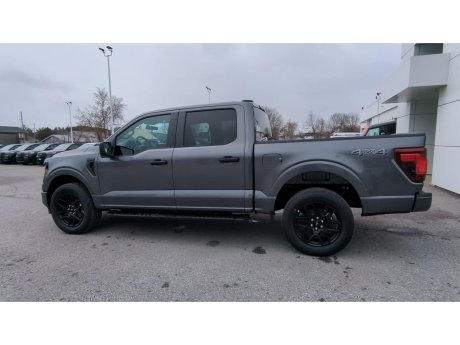 2024 Ford F-150 - 21754 Image 6