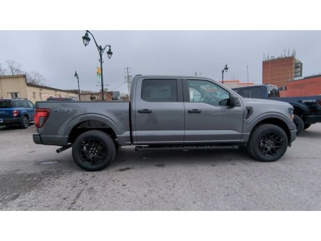 2024 Ford F-150 - 21754 Image 9