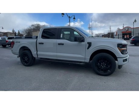 2024 Ford F-150 - 21755 Image 2