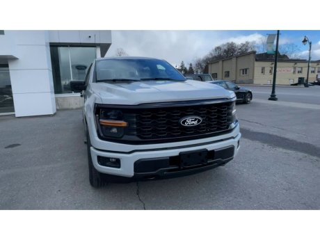 2024 Ford F-150 - 21755 Image 3