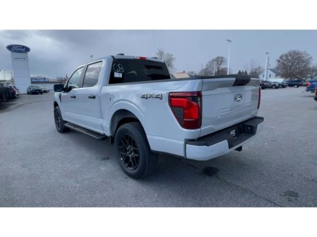 2024 Ford F-150 - 21755 Image 7