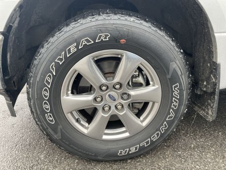 2019 Ford F-150 - 21523A Image 10