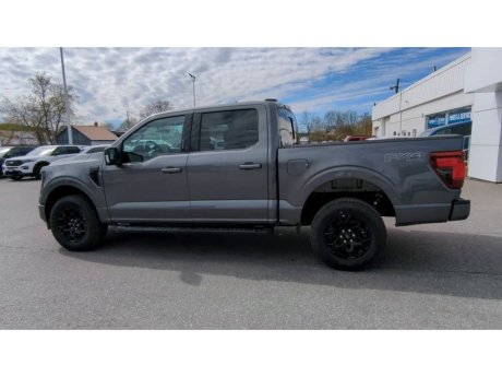 2024 Ford F-150 - 21786 Image 6