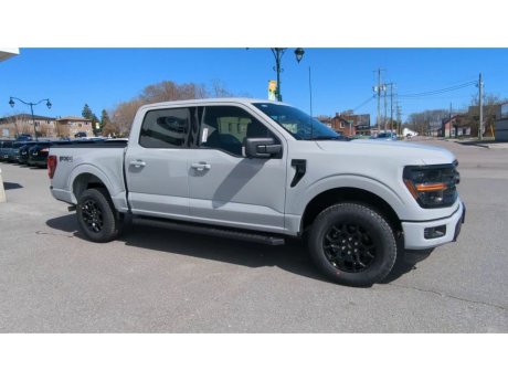 2024 Ford F-150 - 21789 Image 2