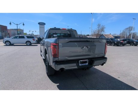 2024 Ford F-150 - 21797 Image 7
