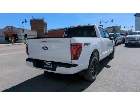 2024 Ford F-150 - 21773 Image 8