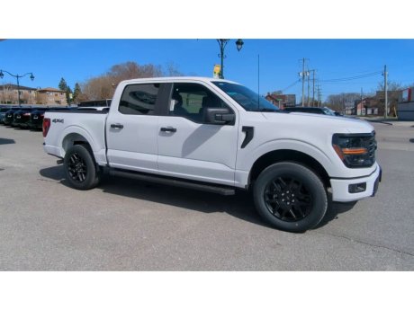 2024 Ford F-150 - 21785 Image 2