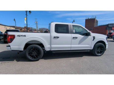2024 Ford F-150 - 21785 Image 9