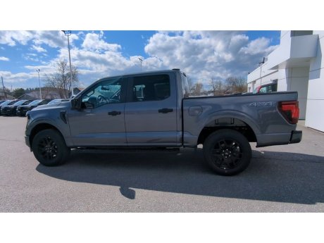 2024 Ford F-150 - 21791 Image 6