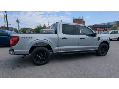 2024 Ford F-150 - 21768 Image 9