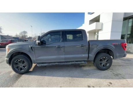 2021 Ford F-150 - P21662 Image 5