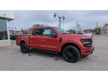 2024 Ford F-150 - 21819 Image 3